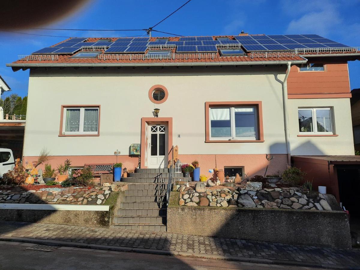 Ferienwohnung Friedel Und Kaethe Oberthal Екстер'єр фото
